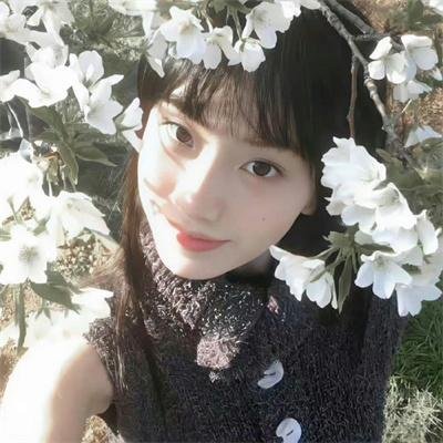 了不起的埃莉诺